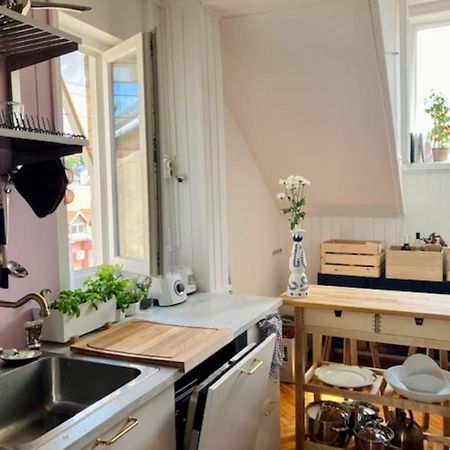 Big, Bright Apartment In The Center Of زغرب المظهر الخارجي الصورة