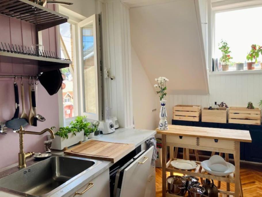 Big, Bright Apartment In The Center Of زغرب المظهر الخارجي الصورة