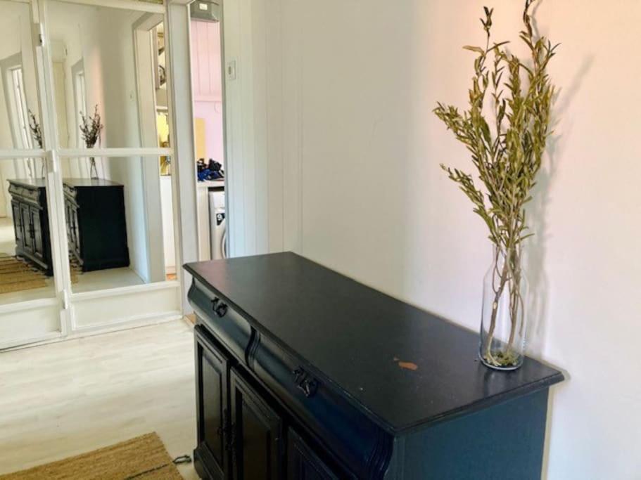 Big, Bright Apartment In The Center Of زغرب المظهر الخارجي الصورة